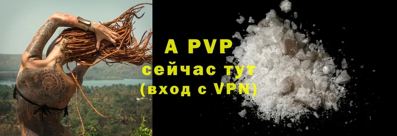 A-PVP СК  Тверь 